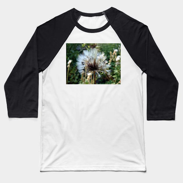 Dandelion dandelion Baseball T-Shirt by Gourmetkater